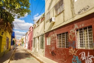 Palermo: Graffiti and Street Art Guided Tour in English