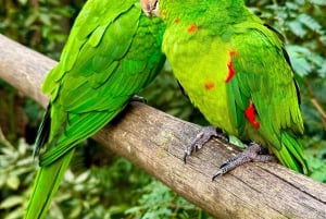 Paraguay + Argentinië + Brazilië Hoogtepunten