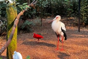 Paraguay + Argentinië + Brazilië Hoogtepunten