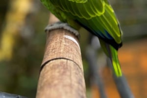 Paraguay + Argentinië + Brazilië Hoogtepunten