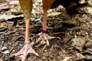 Paraguay + Argentinië + Brazilië Hoogtepunten