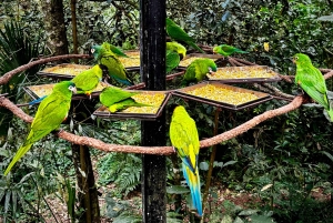 Paraguai + Argentina + Brasil Destaques principais