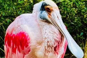 Paraguai + Argentina + Brasil Destaques principais