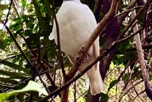 Paraguai + Argentina + Brasil Destaques principais