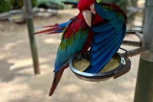 Paraguai + Argentina + Brasil Destaques principais