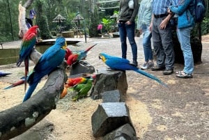 Paraguai + Argentina + Brasil Destaques principais