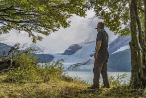 Patagonien: Dagsutflykt Glaciärer Upsala & Spegazzini