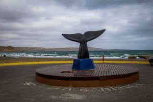 Patagonia: Penisola Valdes, osservazione delle balene