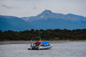 Pinguïns spotten vanuit Puerto Almanza