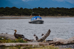 Pinguïns spotten vanuit Puerto Almanza