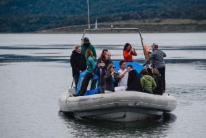 Наблюдение за пингвинами из Пуэрто-Альманса