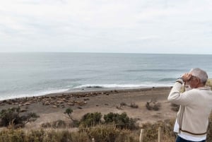 Visite d'une jounée de la péninsule de Valdes