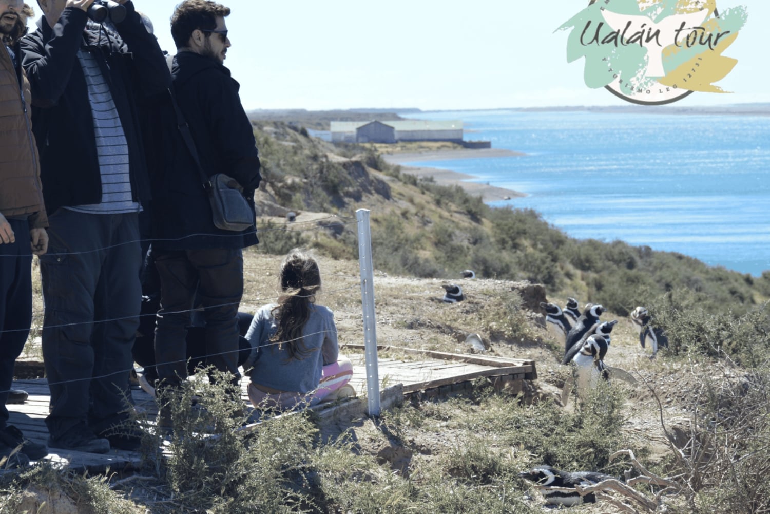 Halvøya Valdes: Landutflukt for cruisepassasjerer