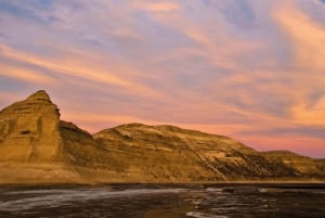 Schiereiland Valdés: Excursie aan wal voor cruisepassagiers