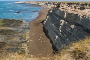 Schiereiland Valdés: Excursie aan wal voor cruisepassagiers