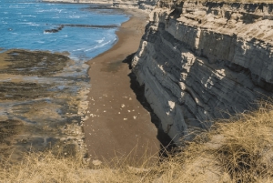 Penisola Valdés: Escursione a terra in privato