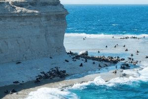 Péninsule de Valdés : Excursion à terre en privé