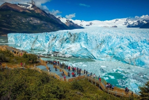 Från Calafate: Perito Moreno-glaciären och båtsafari