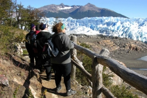 Glaciar Perito Moreno y safari en barco