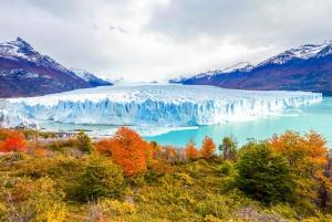 Perito Moreno Glacier Private Tour with Optional Boat Ride