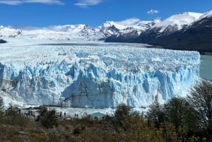 Perito Moreno: Privat sjåfør fra El Calafate