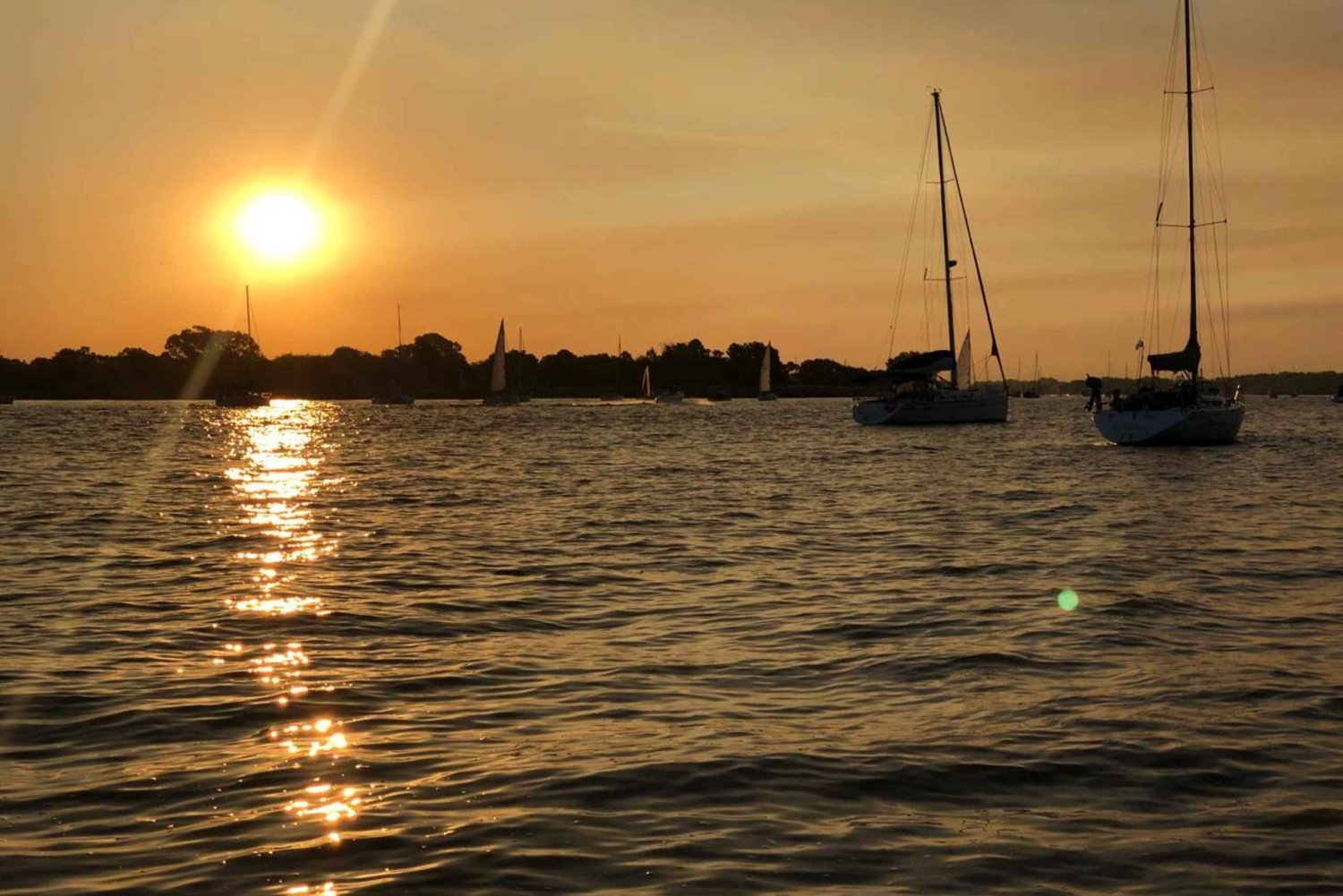 Personalized Tigre Delta Excursion with lunch and drinks included