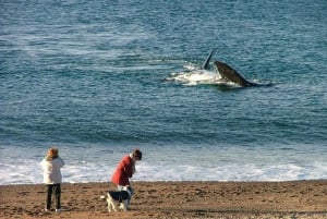 Playa El Doradillo