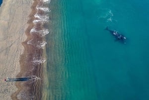 Playa El Doradillo