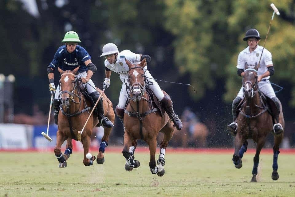 Polo Match in Buenos Aires with a Local Guide