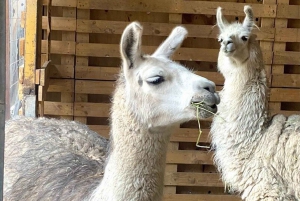 Portillo Andesgebergte Inca lagune en wijnproeverij