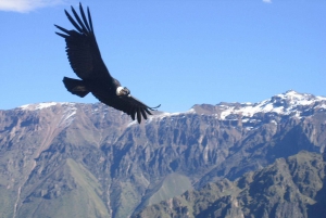 Portillo Andengebirge Inka-Lagune und Weinverkostung