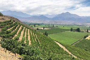 Portillo Cordillère des Andes Lagune inca et dégustation de vin