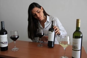 Cata de Vinos Argentinos Premium y Malbec