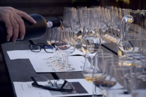 Premium Argentinian Wines and Malbec Tasting Experience