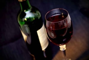 Experiência de degustação de vinhos argentinos premium e Malbec
