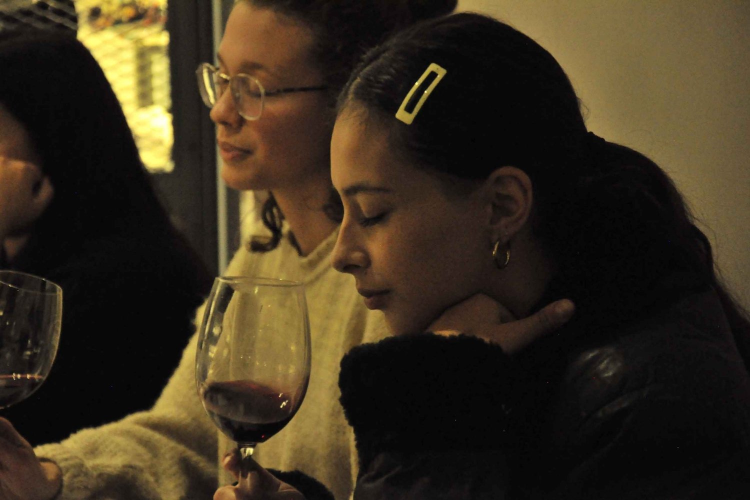 Mendoza: Premium wijnproeverij