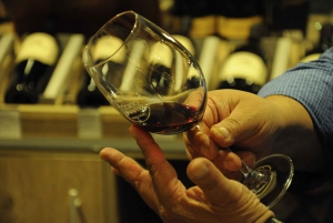 Mendoza: Cata de Vinos Premium