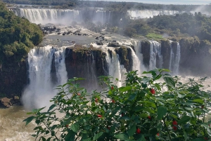 Visite privée sur les chutes d'eau d'iguassu CÔTÉ argentin