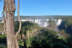 Visite privée sur les chutes d'eau d'iguassu CÔTÉ argentin