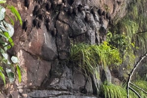 Частная однодневная экскурсия: осмотр водопадов Игуасу с обеих сторон