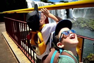 Частная однодневная экскурсия: осмотр водопадов Игуасу с обеих сторон