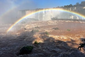 Частная однодневная экскурсия: осмотр водопадов Игуасу с обеих сторон
