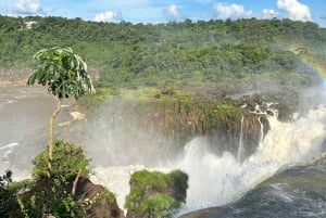 Частная однодневная экскурсия: осмотр водопадов Игуасу с обеих сторон