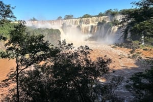 Частная однодневная экскурсия: осмотр водопадов Игуасу с обеих сторон