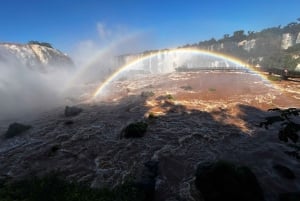 Частная однодневная экскурсия: осмотр водопадов Игуасу с обеих сторон