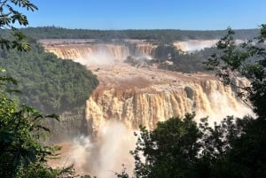 Частная однодневная экскурсия: осмотр водопадов Игуасу с обеих сторон