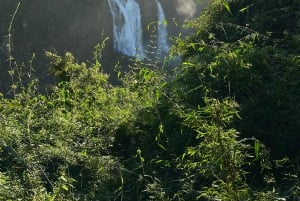 Частная однодневная экскурсия: осмотр водопадов Игуасу с обеих сторон