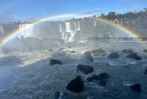 Частная однодневная экскурсия: осмотр водопадов Игуасу с обеих сторон