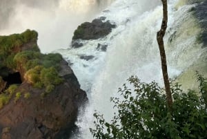 Частная однодневная экскурсия: осмотр водопадов Игуасу с обеих сторон