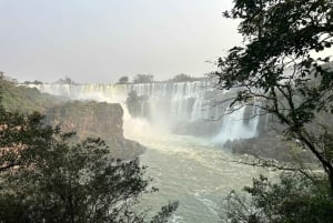 Частная однодневная экскурсия: осмотр водопадов Игуасу с обеих сторон